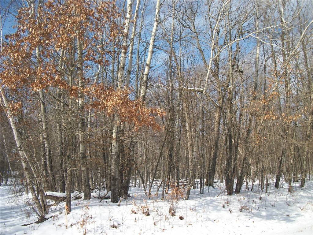 Lots 58 & 59 Woods Avenue, Birchwood, WI 54817