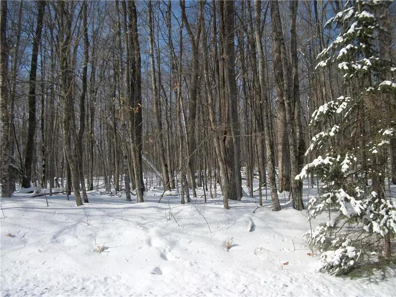 Lot #21 Allison Way, Birchwood, WI 54817