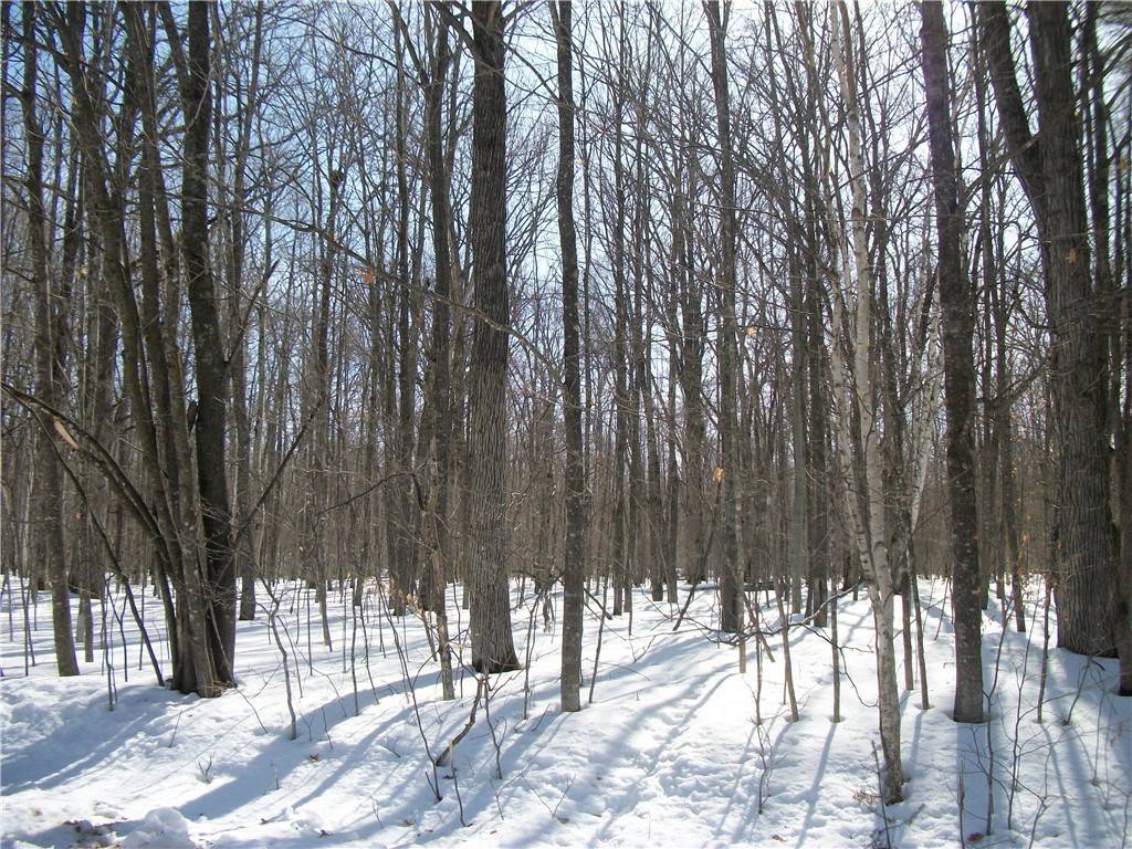 LOTS 56 & 57 MAPLE WAY, Birchwood, WI 54817