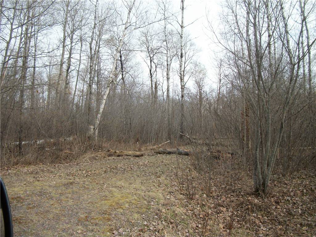 Lot #31 Eden Avenue/28 7/8 ST, Birchwood, WI 54817