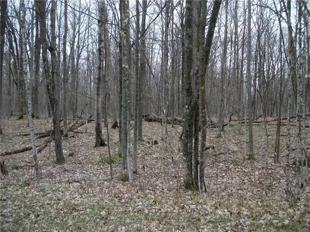 Birchwood, WI 54817
