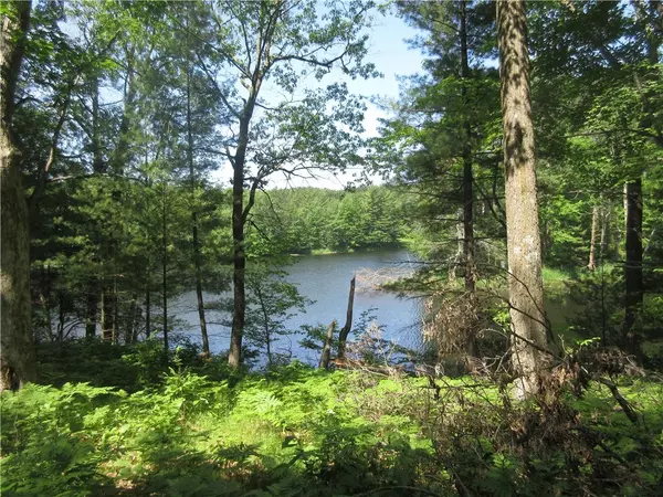 Luck, WI 54853,865 250th Avenue