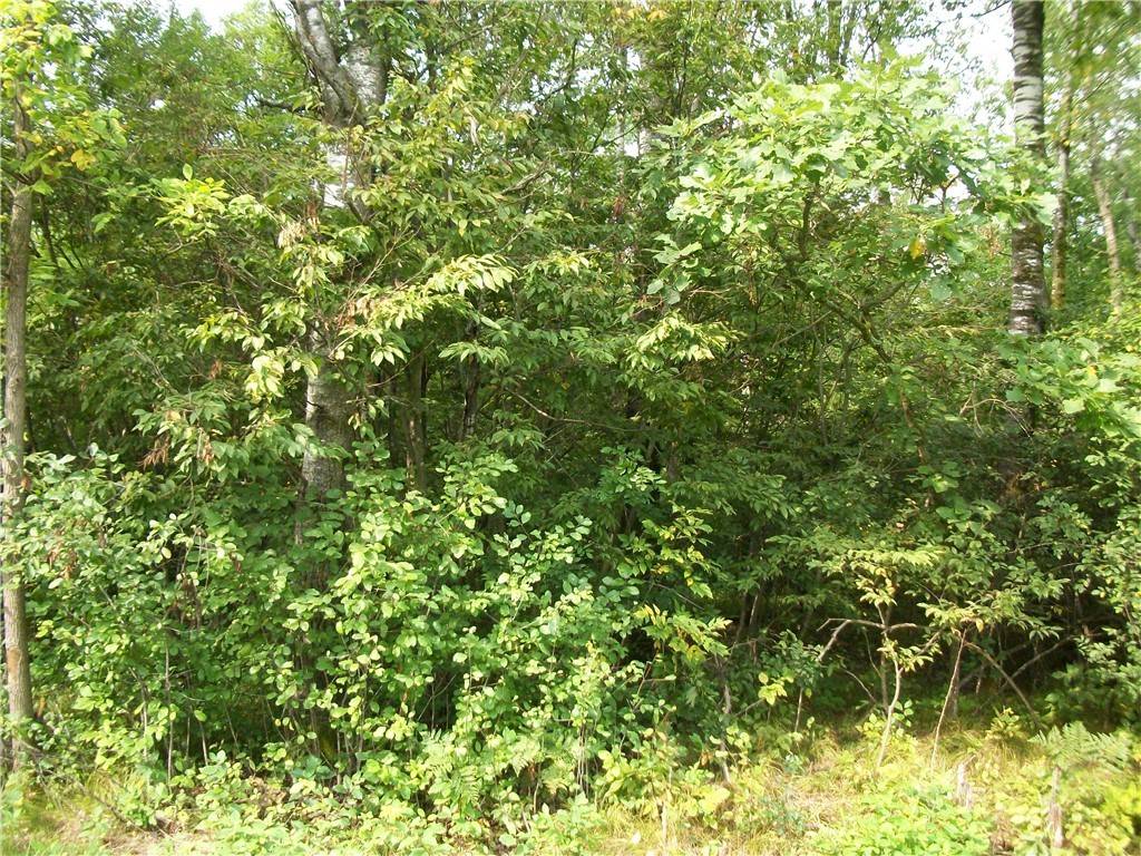 LOT #4 FYNE AVENUE, Birchwood, WI 54817
