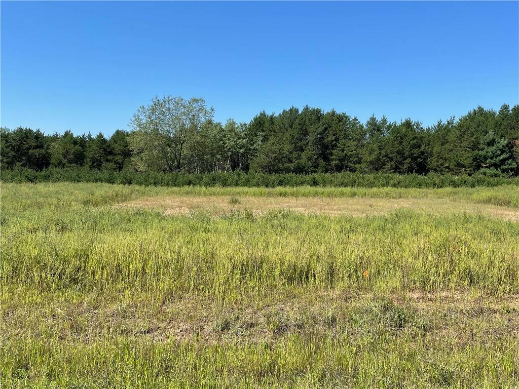 Chippewa Falls, WI 54729,Lot 41 113th ST
