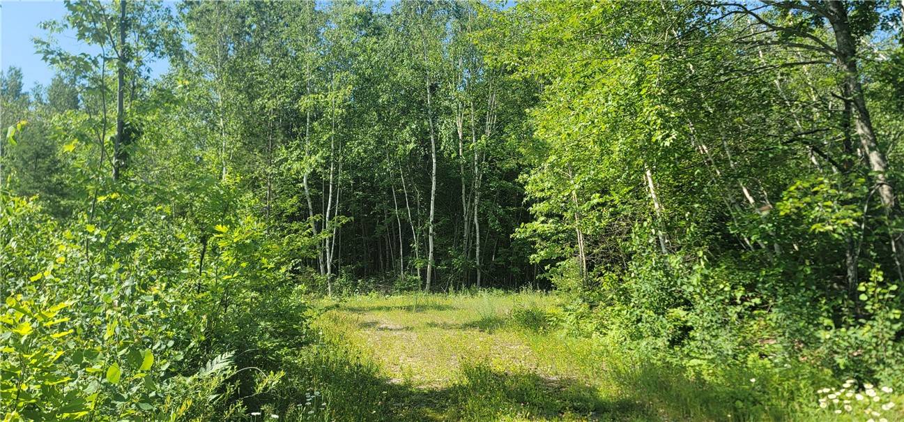 xxx Larsen Rd, Hayward, WI 54843