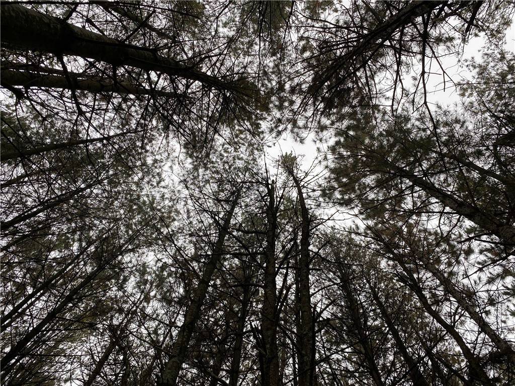 Hayward, WI 54843,Lot 5 Indian Trail RD
