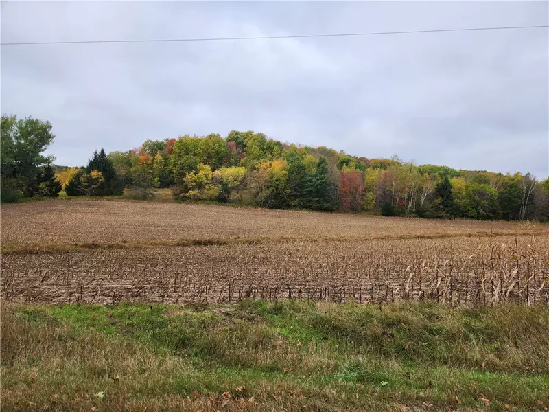 N12123 Olson RD, Alma Center, WI 54611