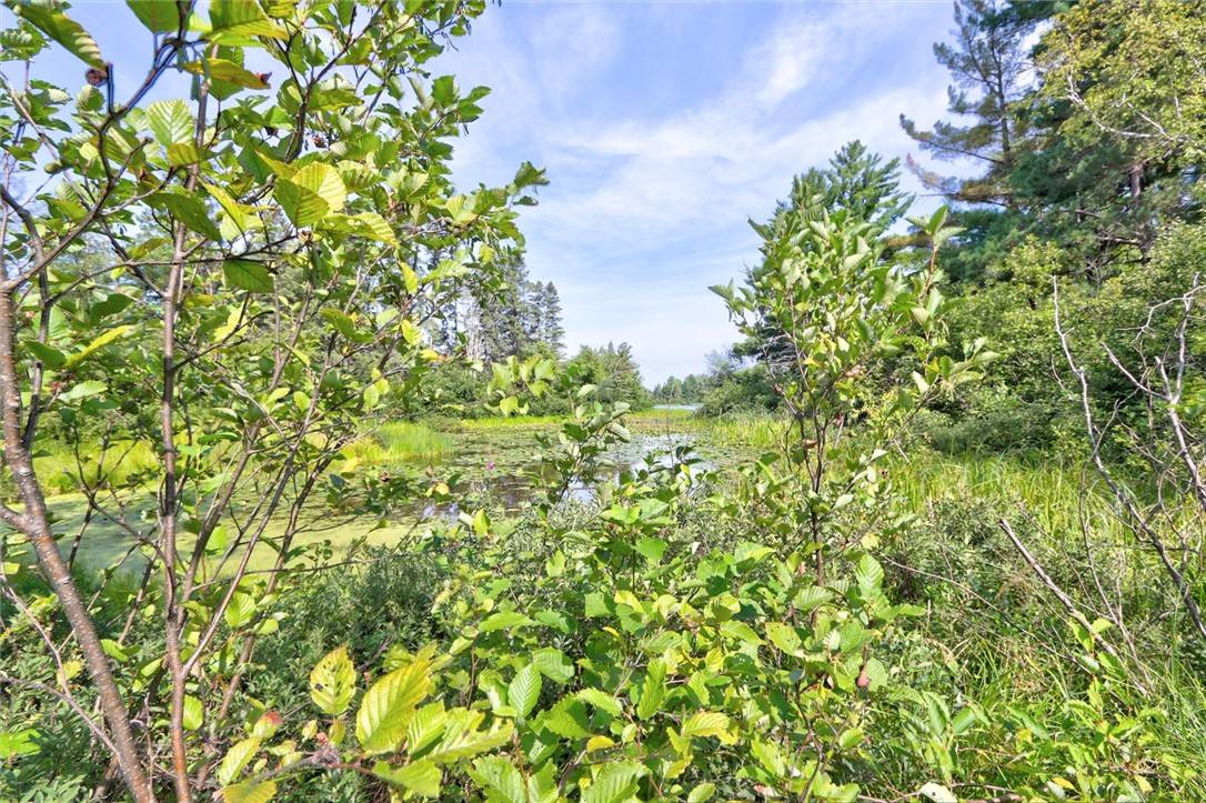 Hayward, WI 54843,15364W Chippewa TRL