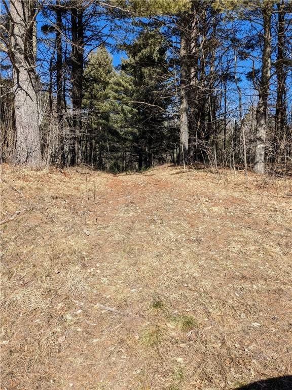 Hayward, WI 54843,11366 W County Hwy B