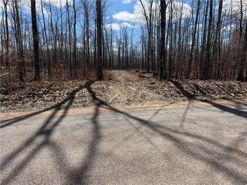 19.11 Acres Falstad RD, Eland, WI 54427