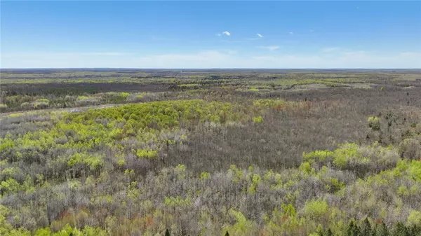 Jump River, WI 54433,80 Acres County Road M