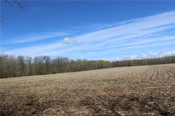 Ogema, WI 54459,00 Schalk Road - 63 acres