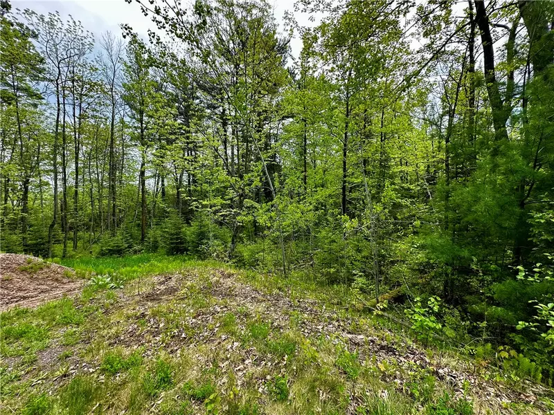 15433 State Highway 178, Jim Falls, WI 54748