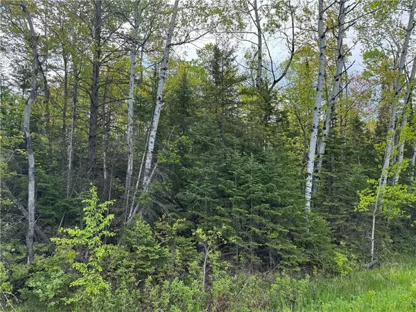 5.56 acres on Evergreen RD, Port Wing, WI 54865