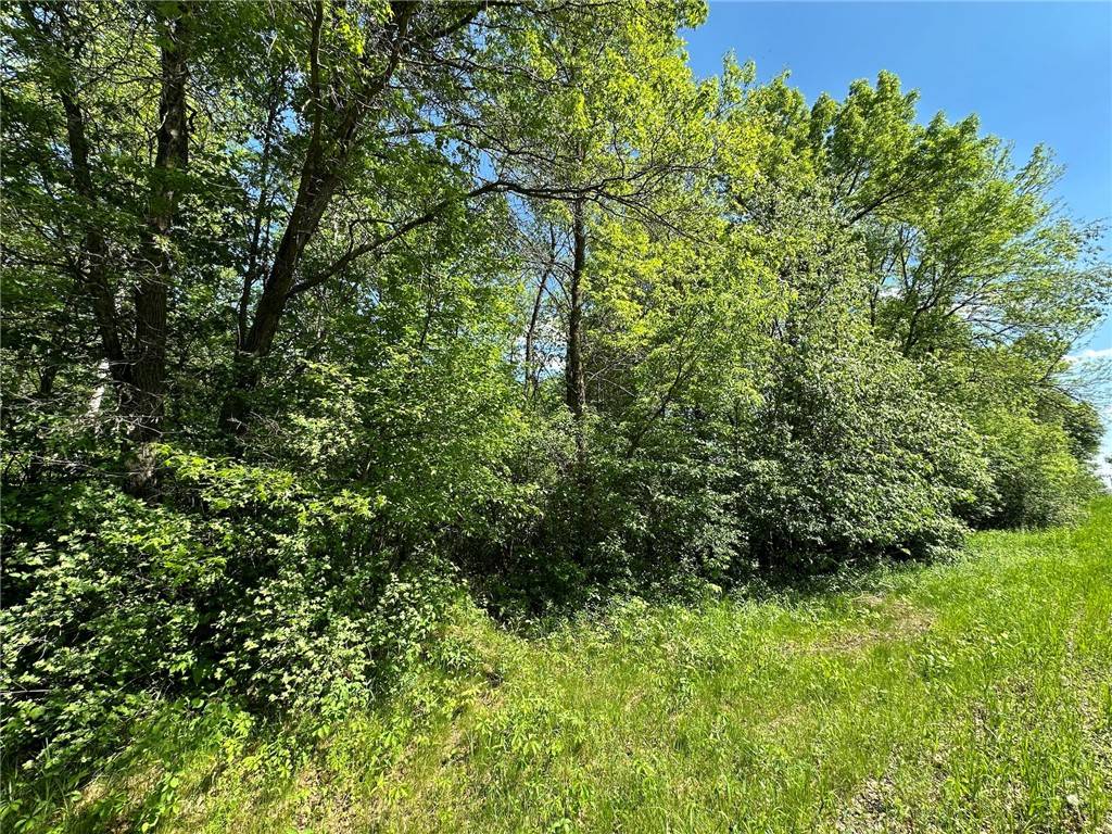 TBD 140th ST, Amery, WI 54001