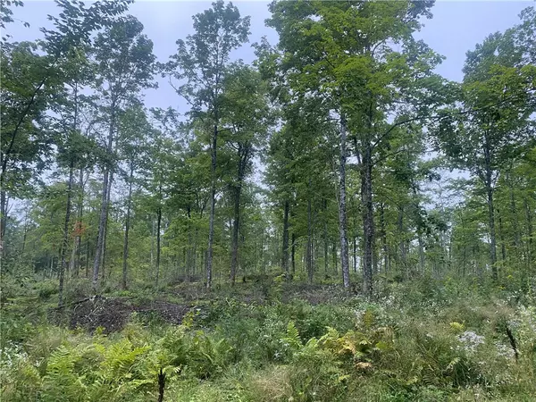 Loretta, WI 54896,On Doland RD