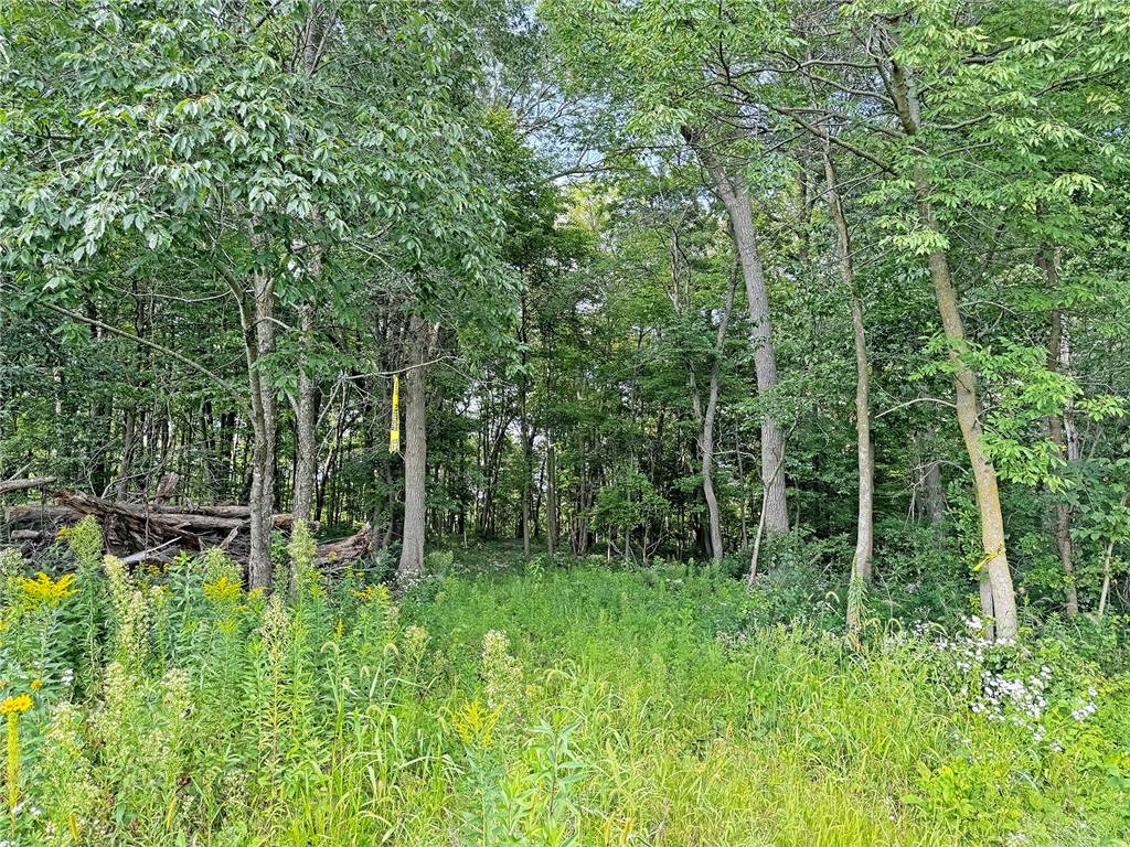 XXX 57th AVE, Osceola, WI 54020