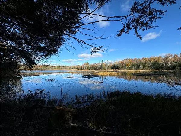 Hayward, WI 54843,Lot 7 Crane LN