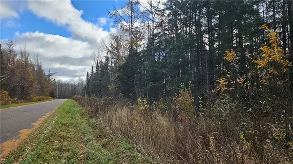 Couderay, WI 54828,Lot 2 Delap LN