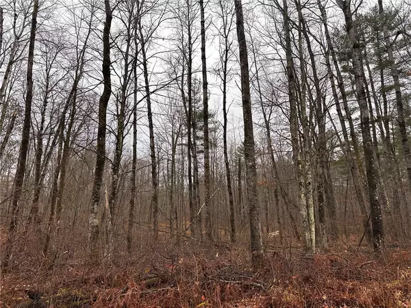 Lot 2 McGilligan RD, Hayward, WI 54843