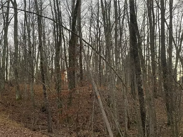 Springbrook, WI 54875,0 Haddick RD