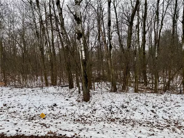 Eau Claire, WI 54701,Lot 22 Short Ridge Estates