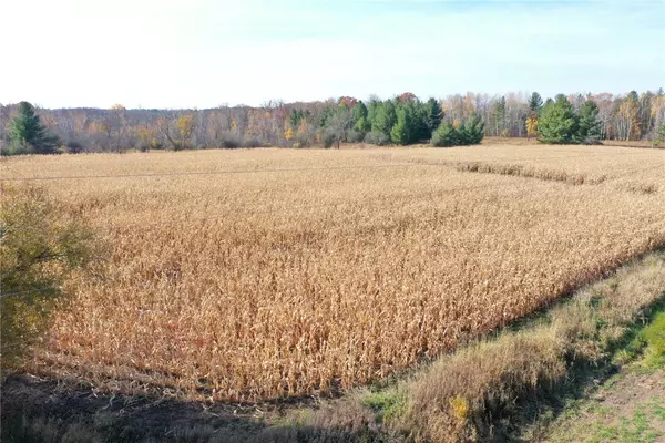 XXX Lara RD, Grantsburg, WI 54840