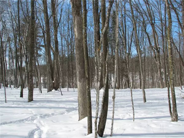 Birchwood, WI 54817,LOT #87 MAPLE WAY