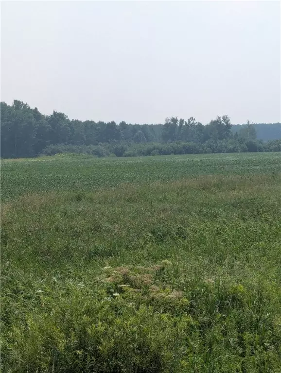 Holcombe, WI 54745,Lot 4 County Highway W