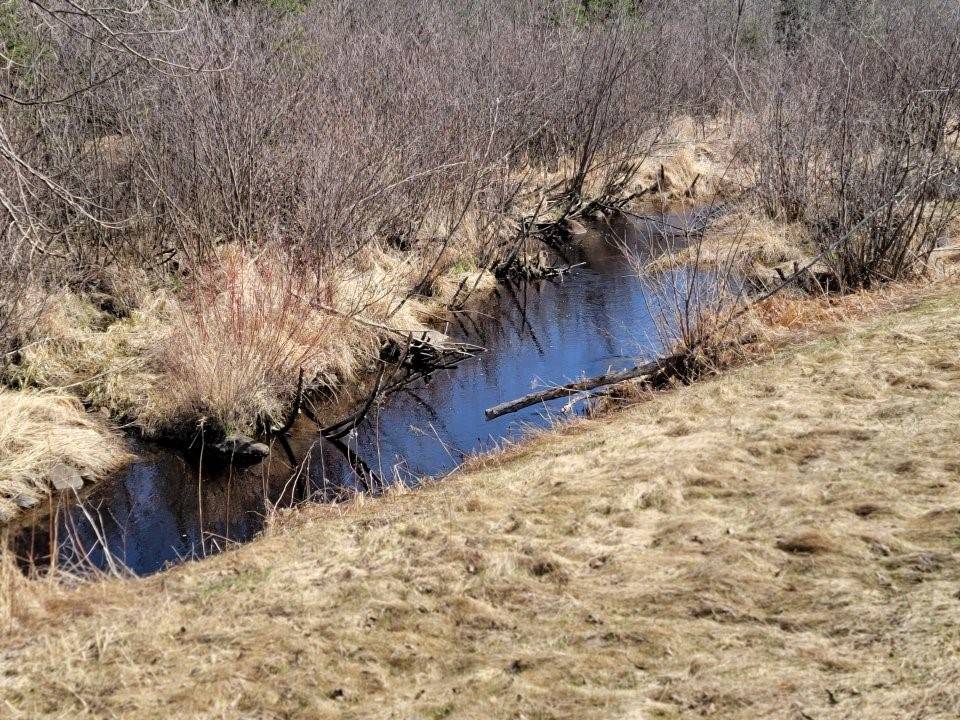 On Luds LN, Loretta, WI 54896