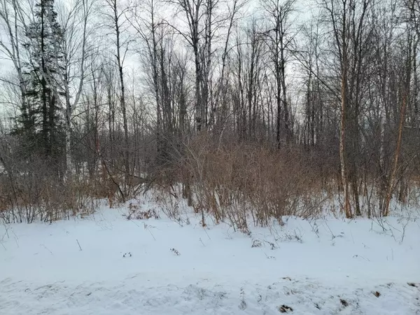 Exeland, WI 54835,5 Acres off Weirgor RD