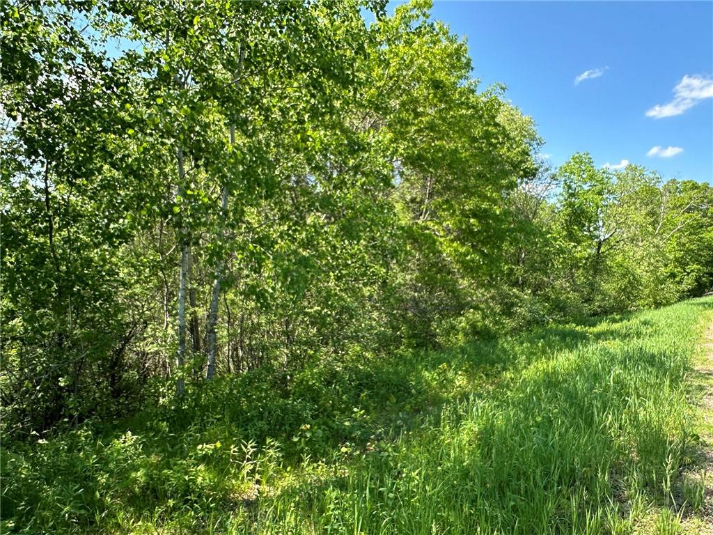 Amery, WI 54001,TBD 140th ST