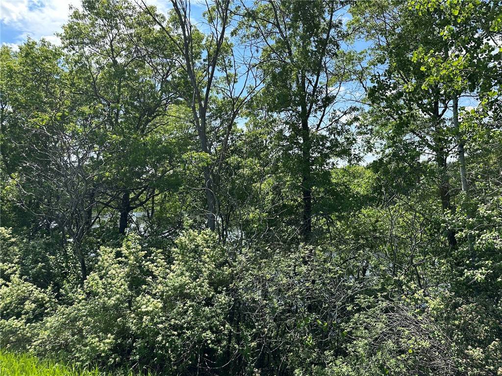 Amery, WI 54001,TBD 140th ST