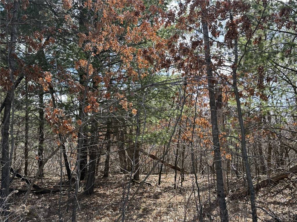 Fall Creek, WI 54742,Lot 2 Olson DR