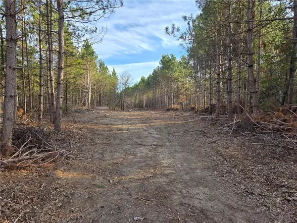 Lot 1 County Road S, Wheeler, WI 54772