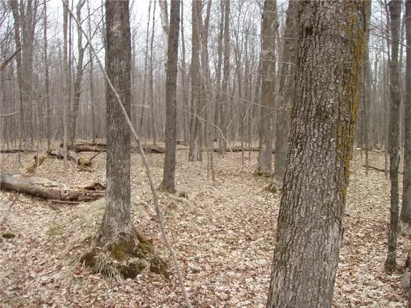 Park Falls, WI 54552,Lot 1 4th Add. Margaret LN