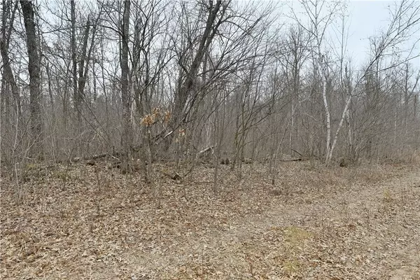 Danbury, WI 54830,Lot 5 and Lot 11 Kelly LN