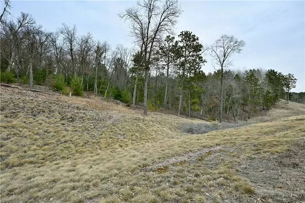 Lot 1 State Road 77, Danbury, WI 54830