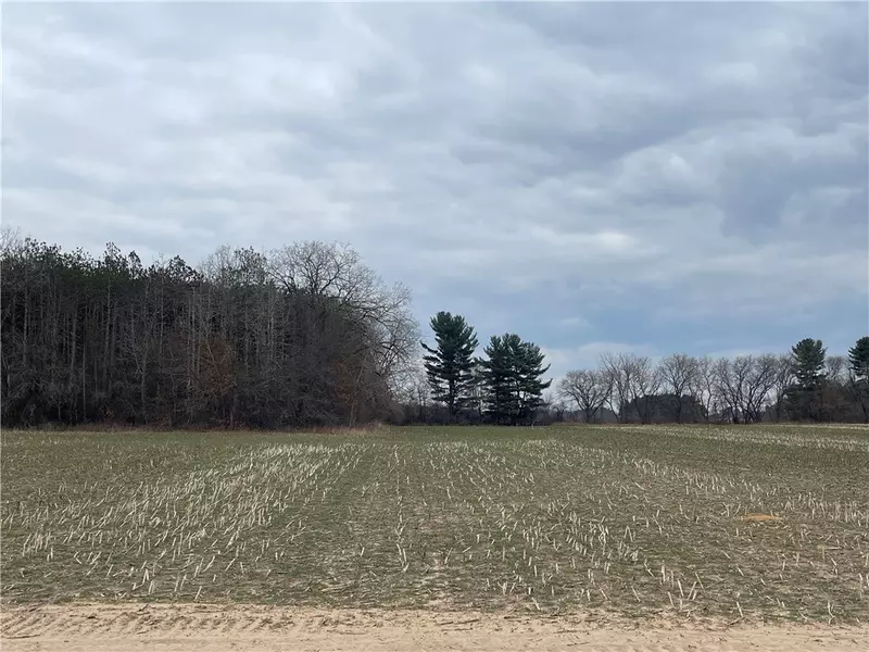 Lot #6 23rd ST, Elk Mound, WI 54739