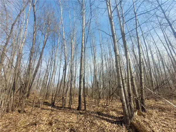 Ladysmith, WI 54848,On Dean RD