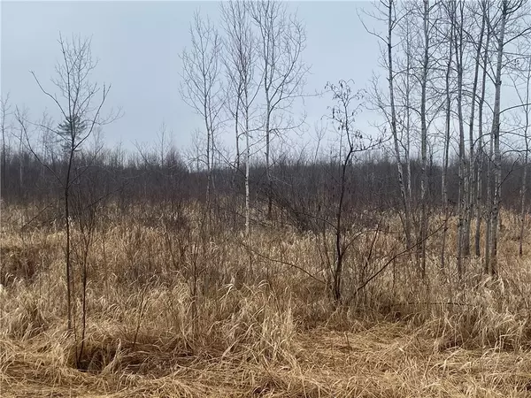 Ogema, WI 54459,ON Shauger RD