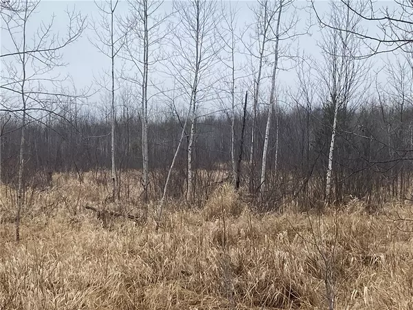 Ogema, WI 54459,ON Shauger RD