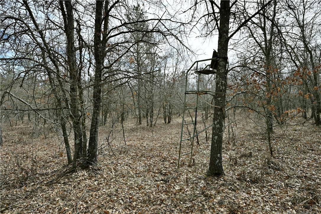 Spooner, WI 54801,40 Acres East Flowage Rd
