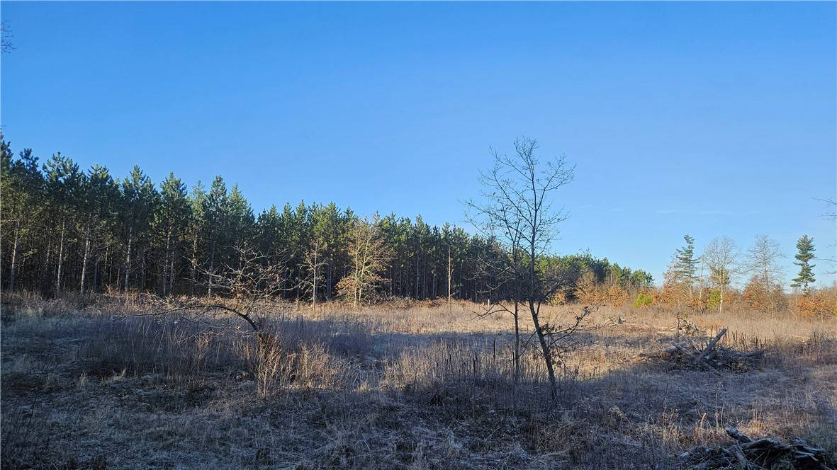 Springbrook, WI 54843,0 Lester RD
