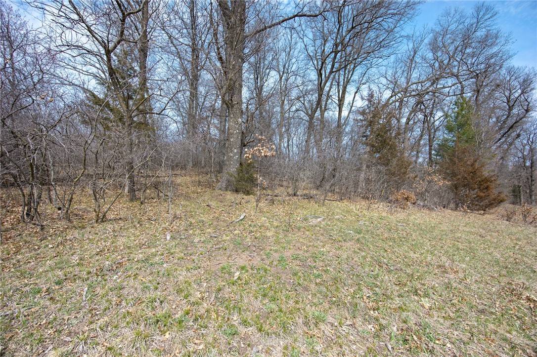 XXX 220th AVE, Somerset, WI 54025