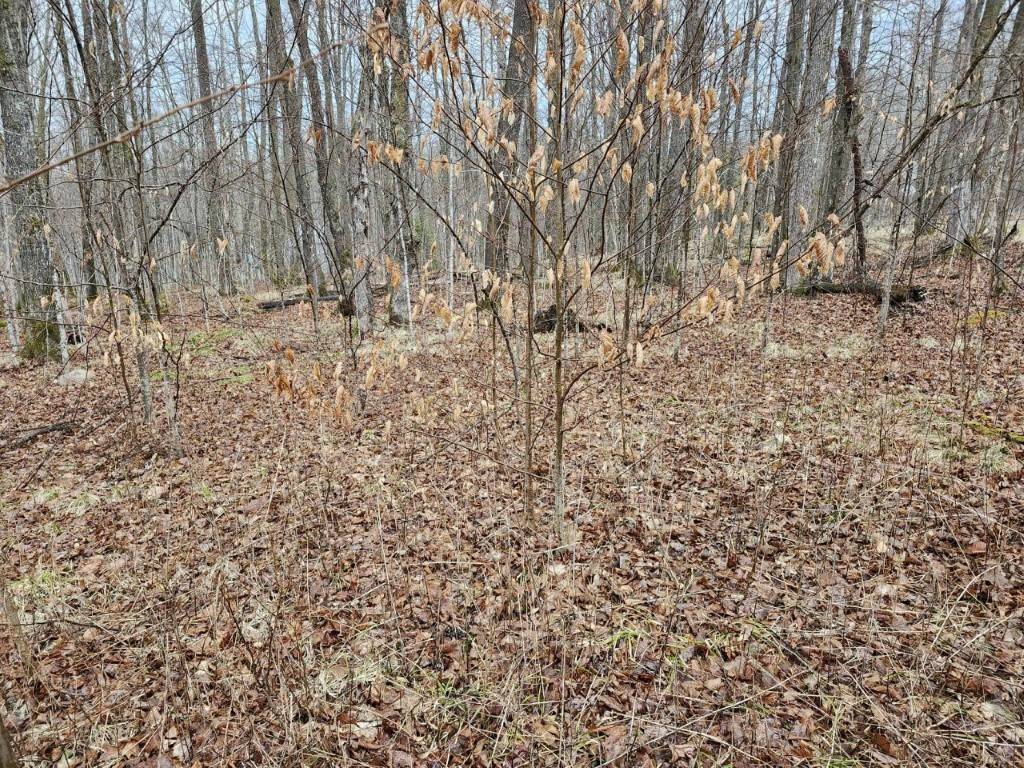 Winter, WI 54896,On Lake Winter RD