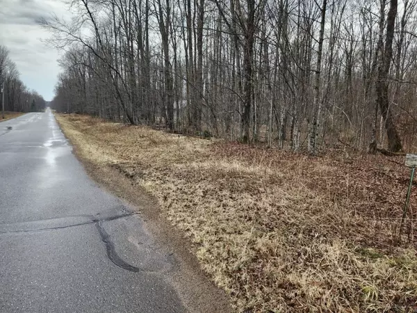 Winter, WI 54896,On Lake Winter RD
