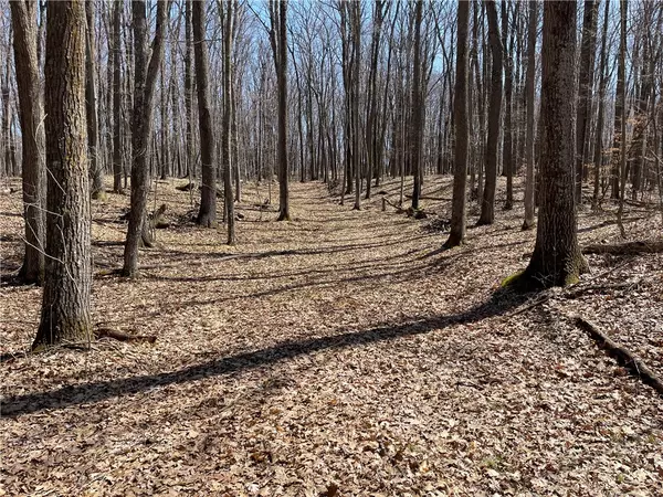 0 Sand Pit RD, Trego, WI 54888