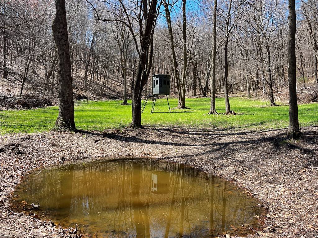 0 County Rd W, Mondovi, WI 54755