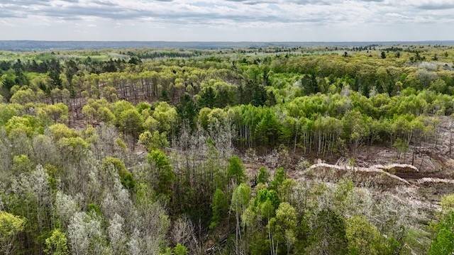Hayward, WI 54843,0 Larsen RD